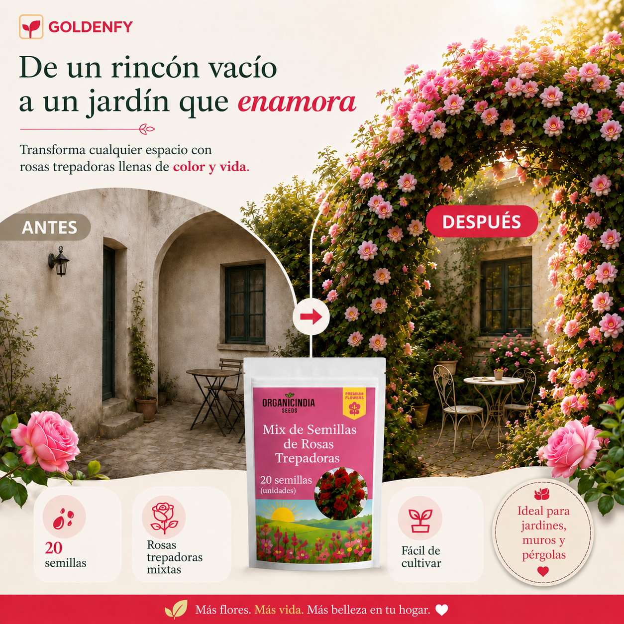 2x1 Exclusivas Semillas de Rosa Trepadora