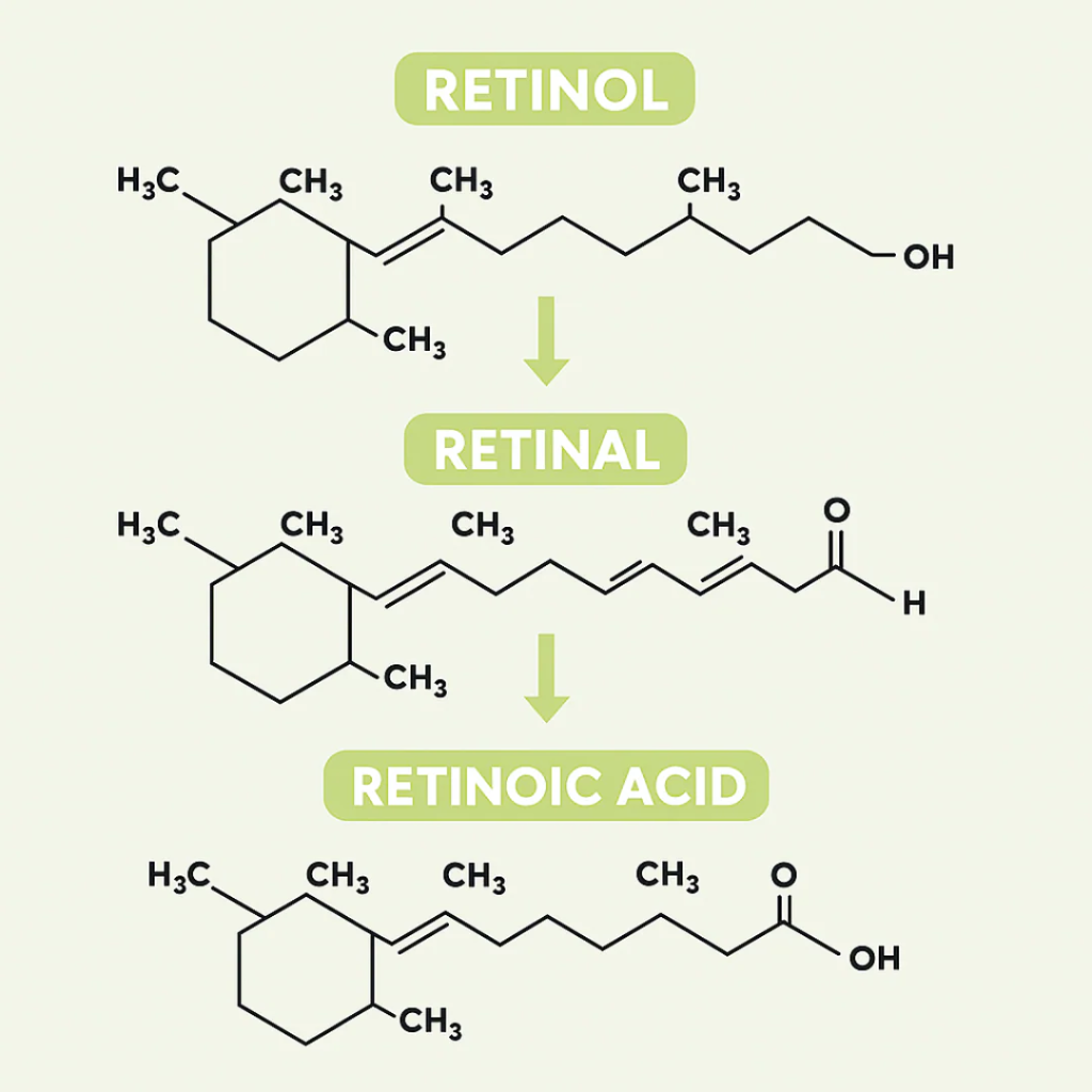 Retinol Shot - Adiós Arrugas