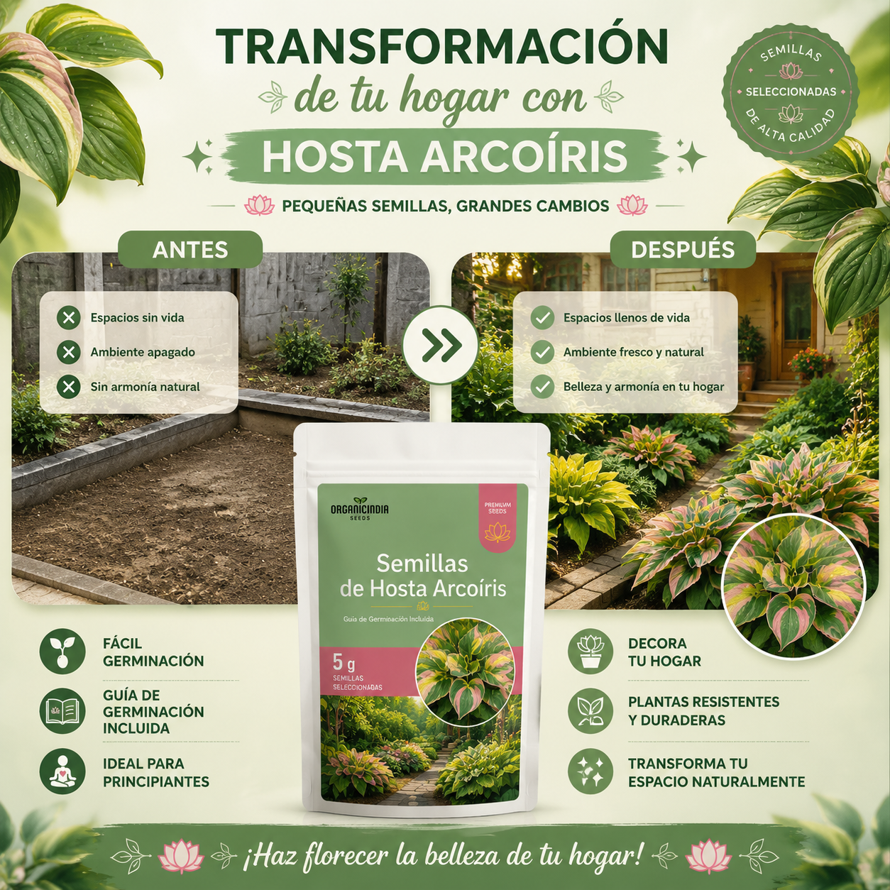 2x1 Semillas Premium de Hosta Arcoiris - Bendicen tu Hogar