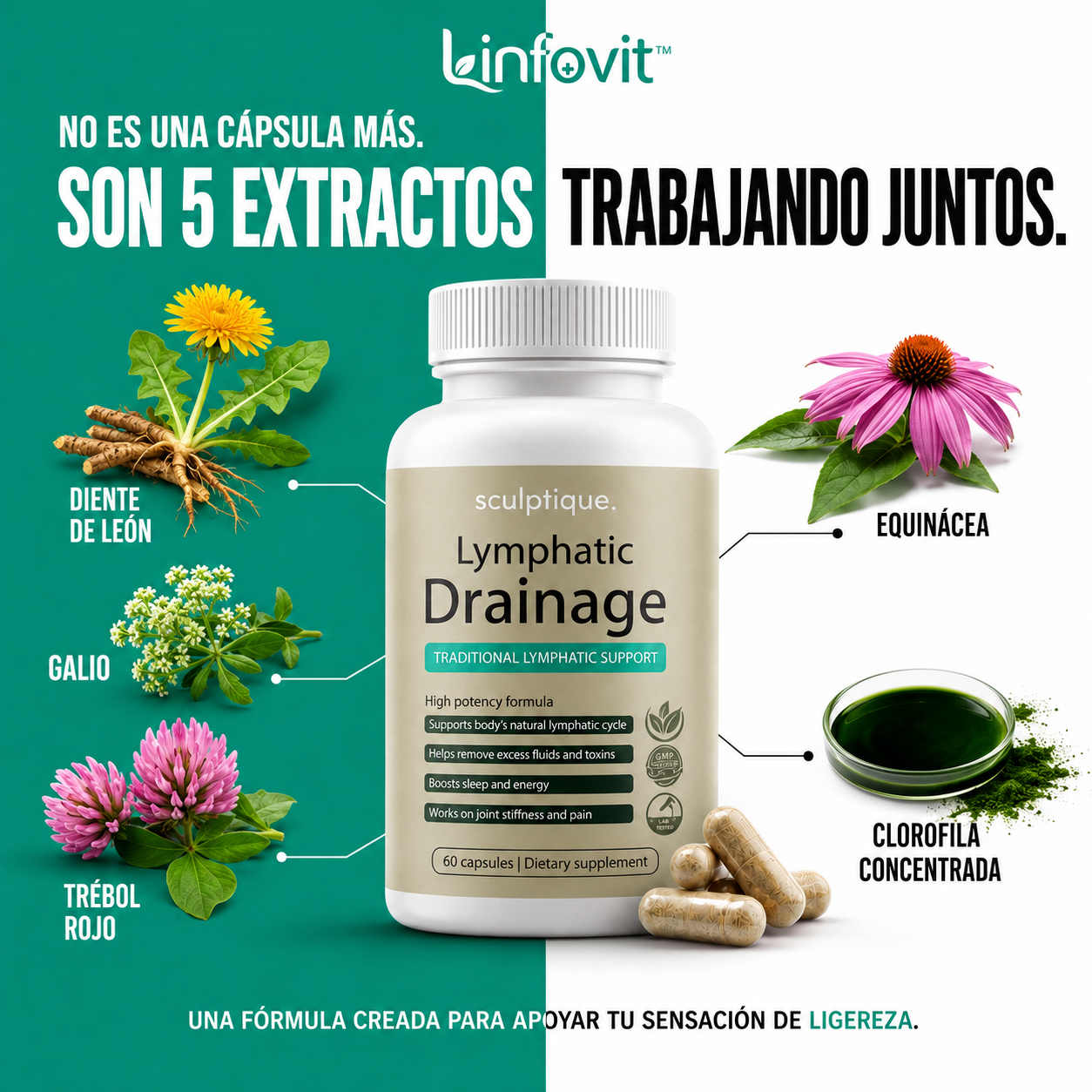 Linfovit™ – Drenaje Intensivo y Cuerpo Más Delgado