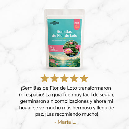 2x1 Semillas Premium Flor de Loto 🪷 Lleva la magia a tu hogar