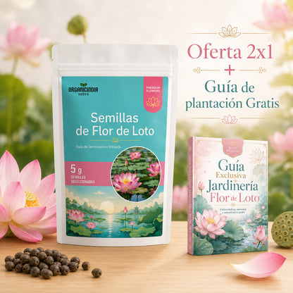 2x1 Semillas Premium Flor de Loto 🪷 Lleva la magia a tu hogar
