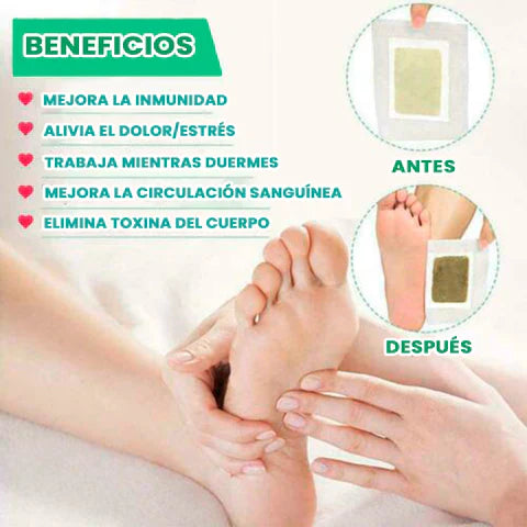 Parches Kinokis - Alivia Dolores y Desintoxica (100 UNIDADES)