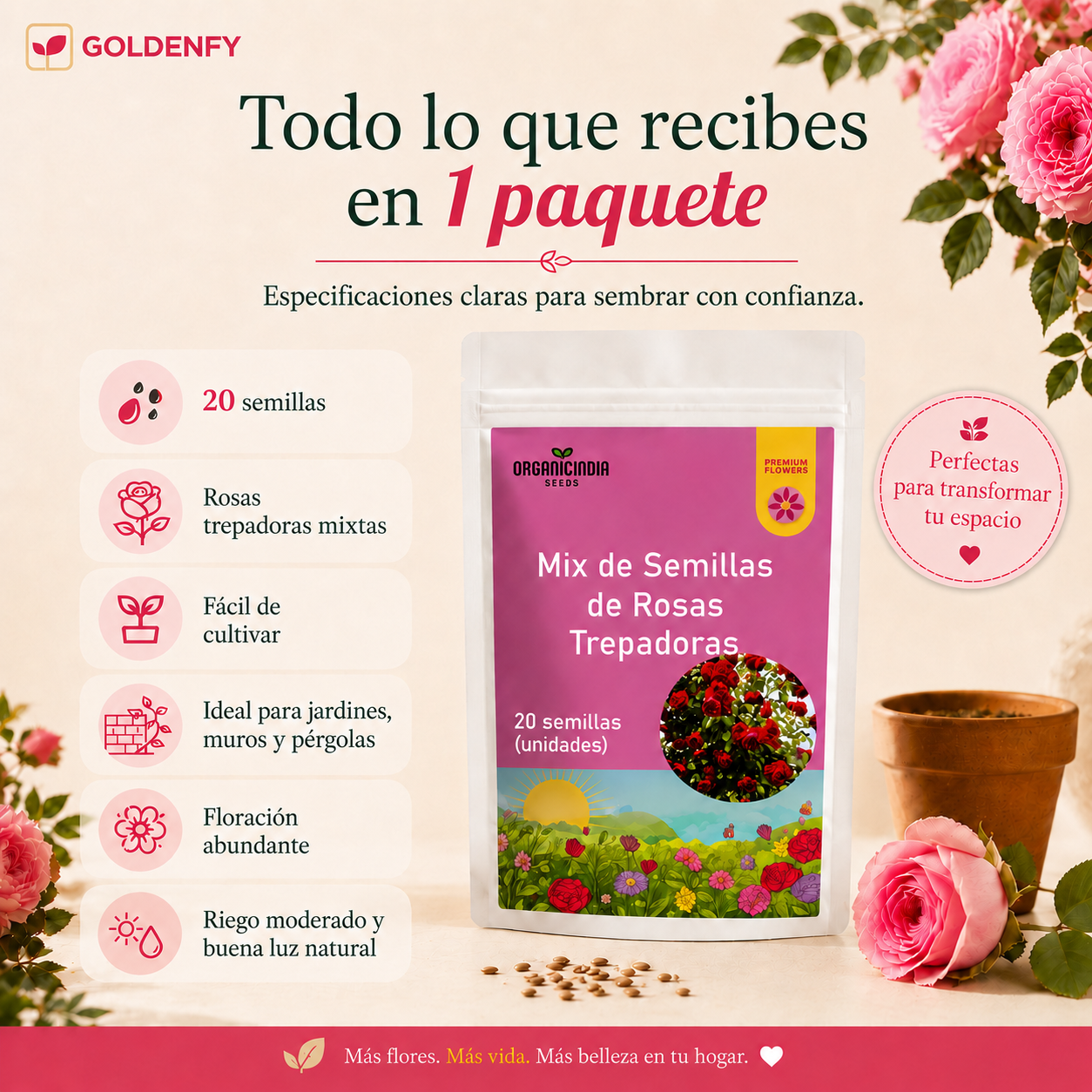 2x1 Exclusivas Semillas de Rosa Trepadora