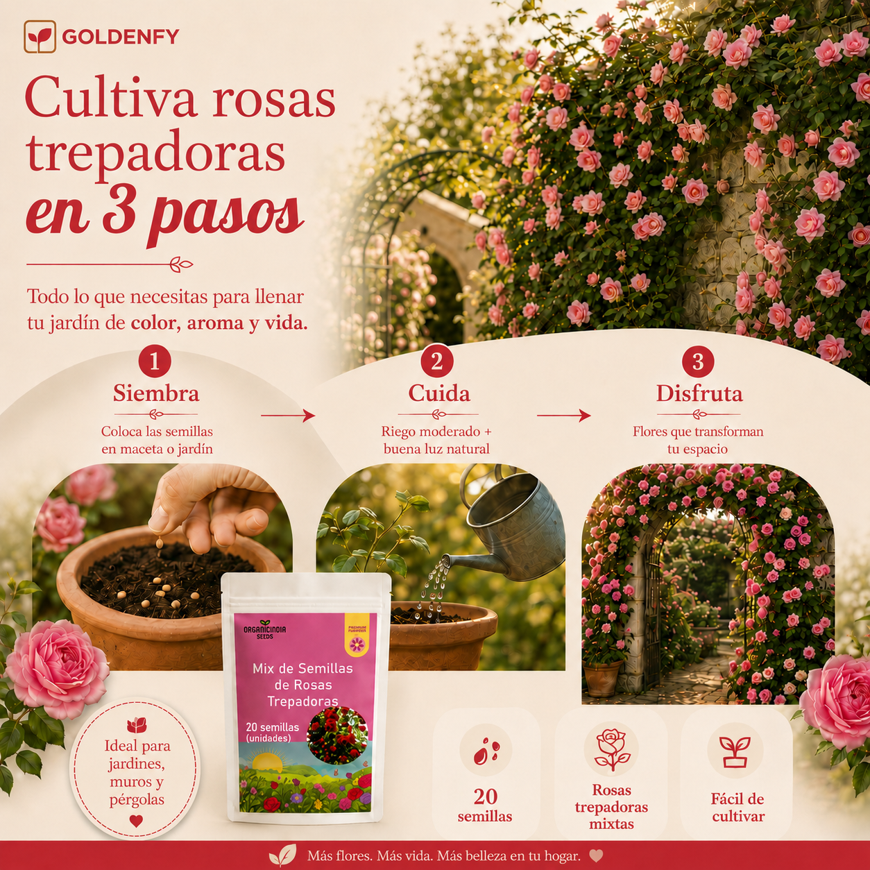 2x1 Exclusivas Semillas de Rosa Trepadora