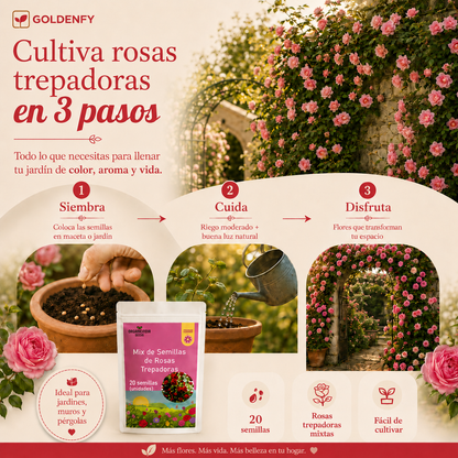 2x1 Exclusivas Semillas de Rosa Trepadora