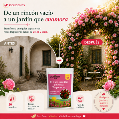 2x1 Exclusivas Semillas de Rosa Trepadora