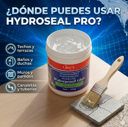 HydroSeal Pro™ 2x1 | Sellador Impermeable para Grietas y Goteras