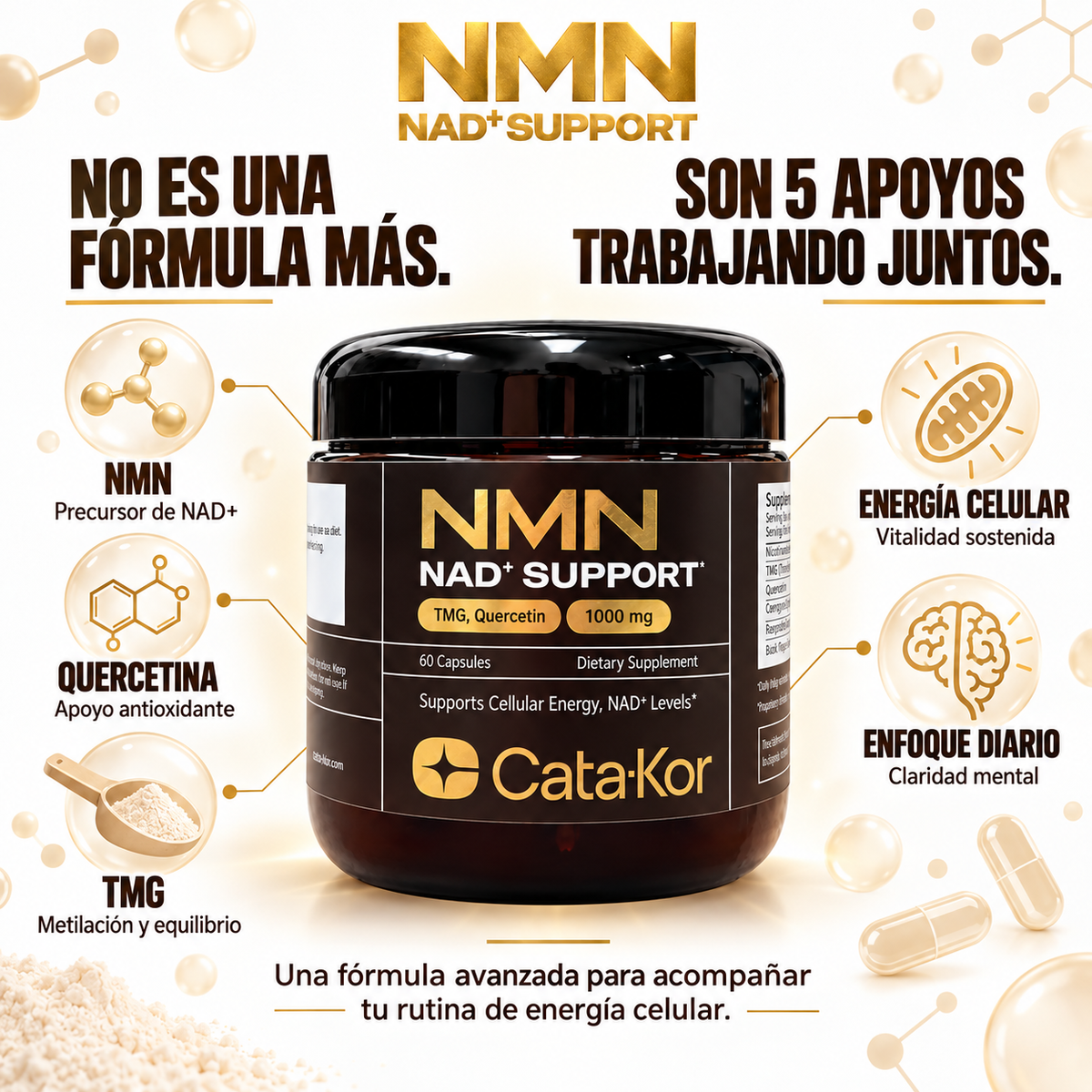 NMN Catakor® – Rejuvenecimiento celular y claridad mental