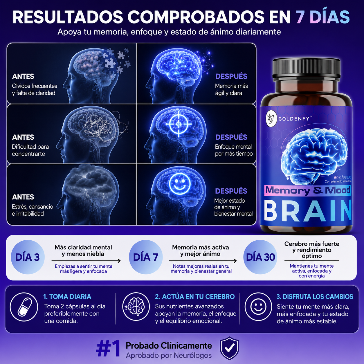 Brain Memory -  Neuroprotección Avanzada