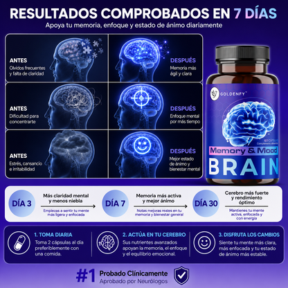 Brain Memory -  Neuroprotección Avanzada